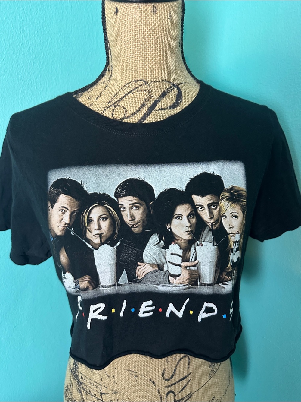 FRIENDS The Television Series Graphic Crop Top Tshirt L